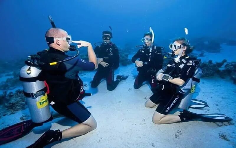 certificacao padi